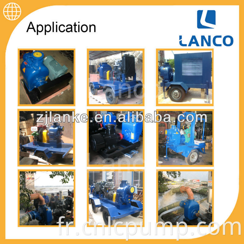 Pompe à eau électrique de marque Lanco avec ABB ou Siemens